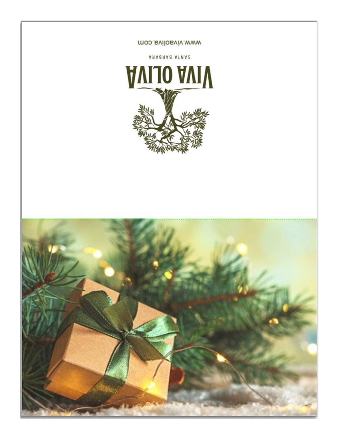 Greeting Card - Christmas Present